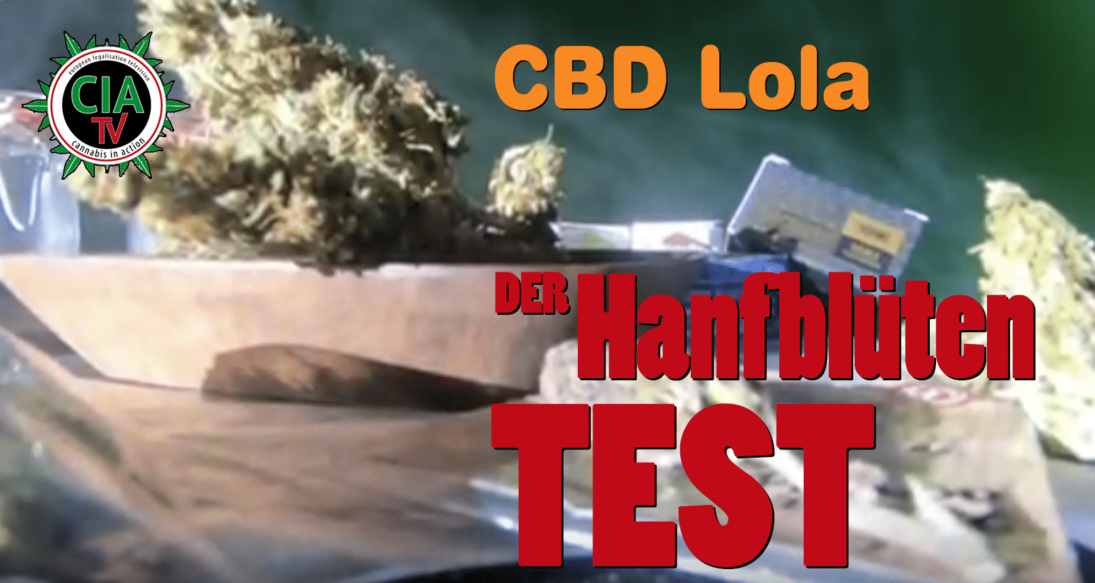 Hola Lola - eine flotte Seniorita stellt sich vor *CBD