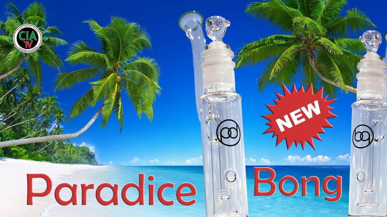 Paradice Bong - weniger Schmutz, mehr Spaß! - Das neue 3 Kammernsystem
