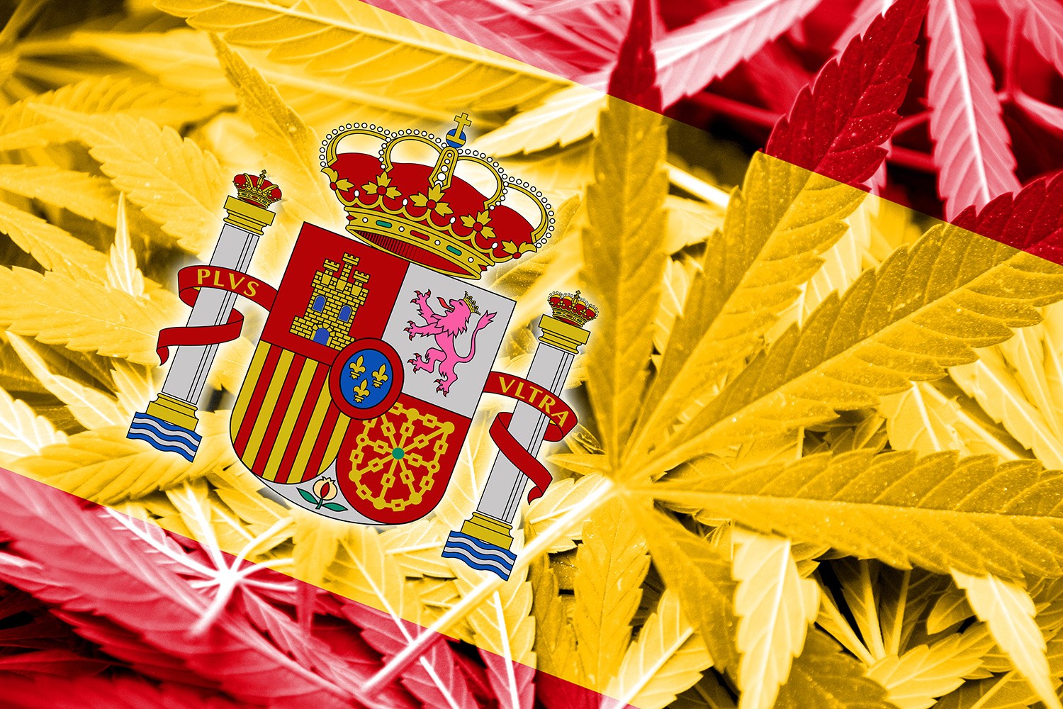Spanische Gemeinden dürfen den Cannabiskonsum nicht sanktionieren