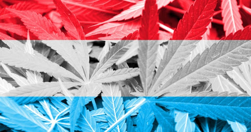 ++ AKTUELL: Cannabis-Legalisierung: Erste Infos zur Umsetzung in Luxemburg ++